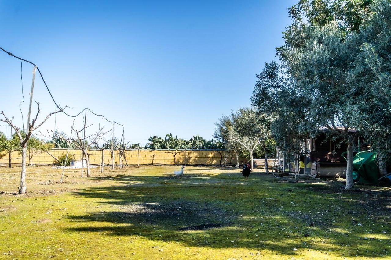 Reel Paradise Villa, Cyprus Larnaca Dış mekan fotoğraf